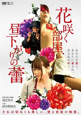 电影《霸王别姬》海报